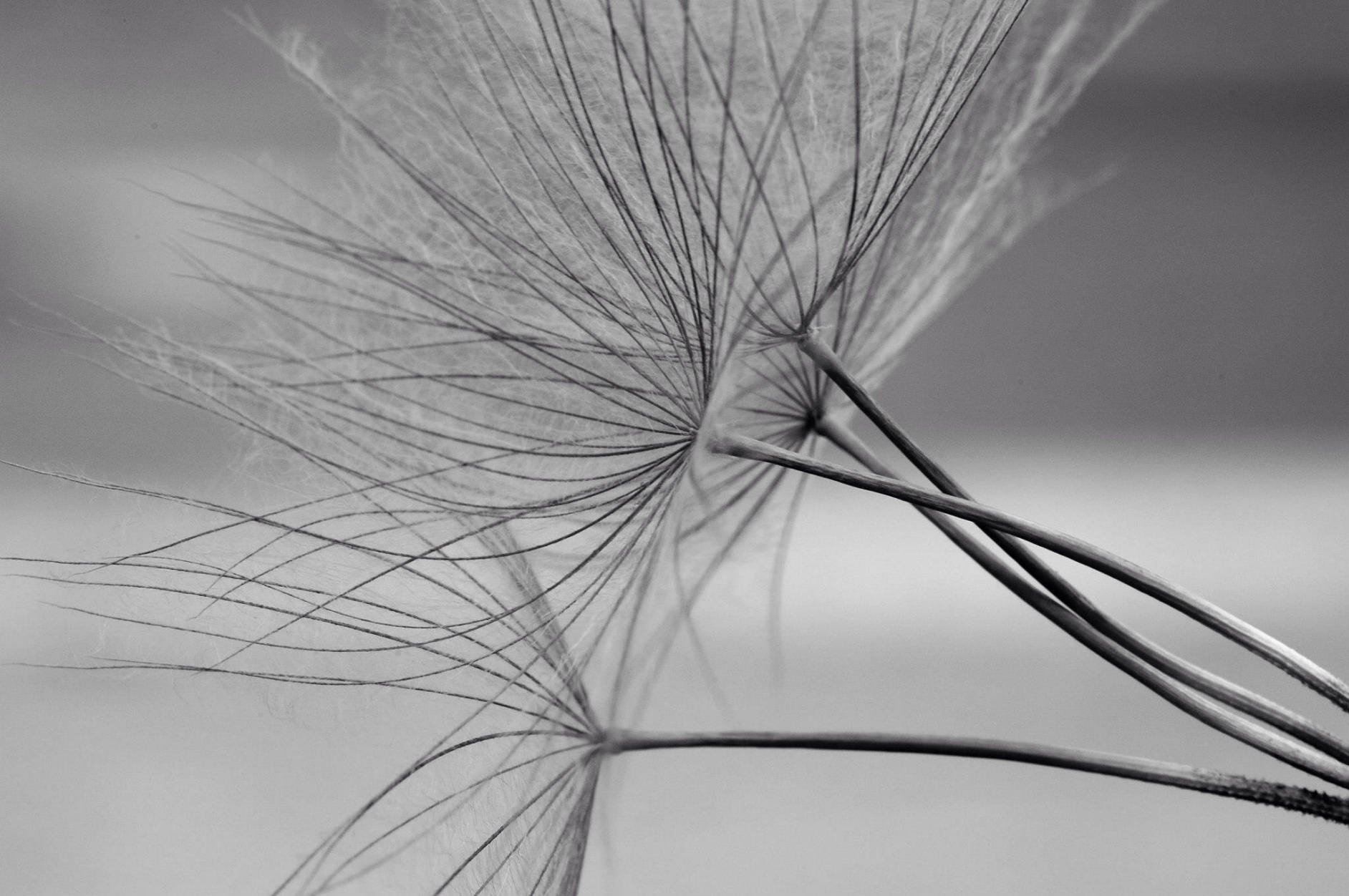 www.wind-beutel-com.de
